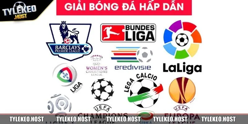 Cập nhật nhanh chóng các tin tức về giải đấu