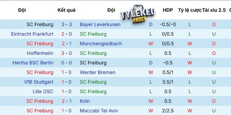 Tổng hợp thành tích gần đây của Freiburg