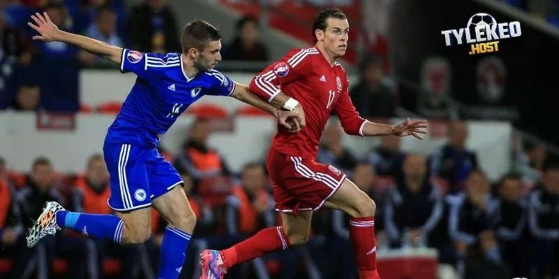 Phong độ của Wales vs Bosnia-Herzegovina
