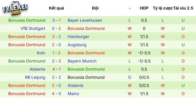 Kết quả thi đấu của Dortmund