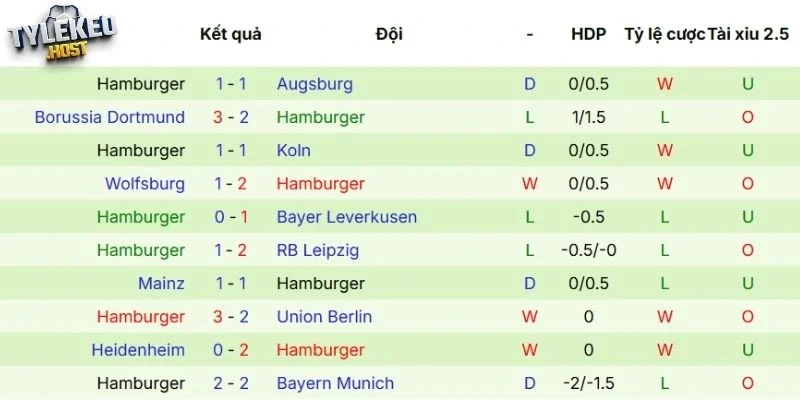 Phong độ gần đây của Hamburger