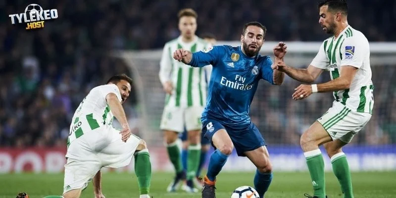 Phong độ của Newcastle United vs Brighton